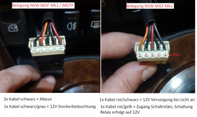 NSW Stecker Polung.jpg