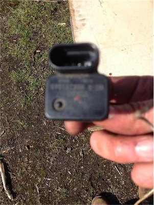 Flügel gestutzt ....jpg