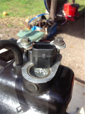 nich schön , aber selten....jpg