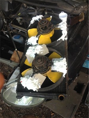 hoffentlich hält das.jpg