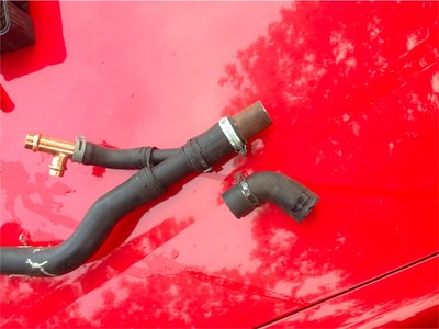 Hals verlängert.jpg